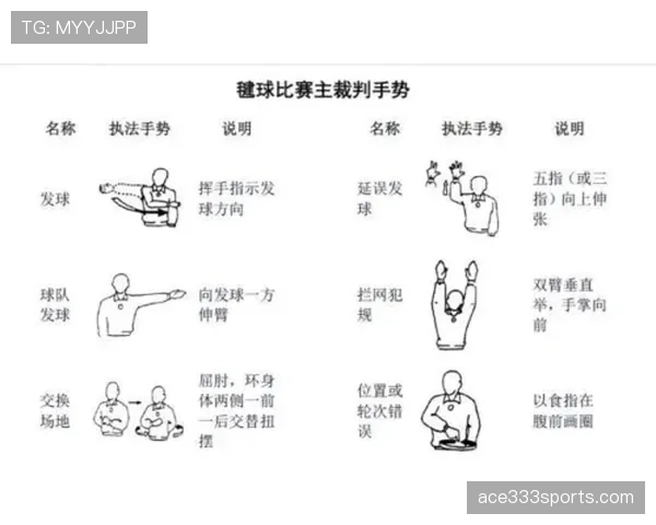 裁判手势规则解析：常见信号含义与判罚标准